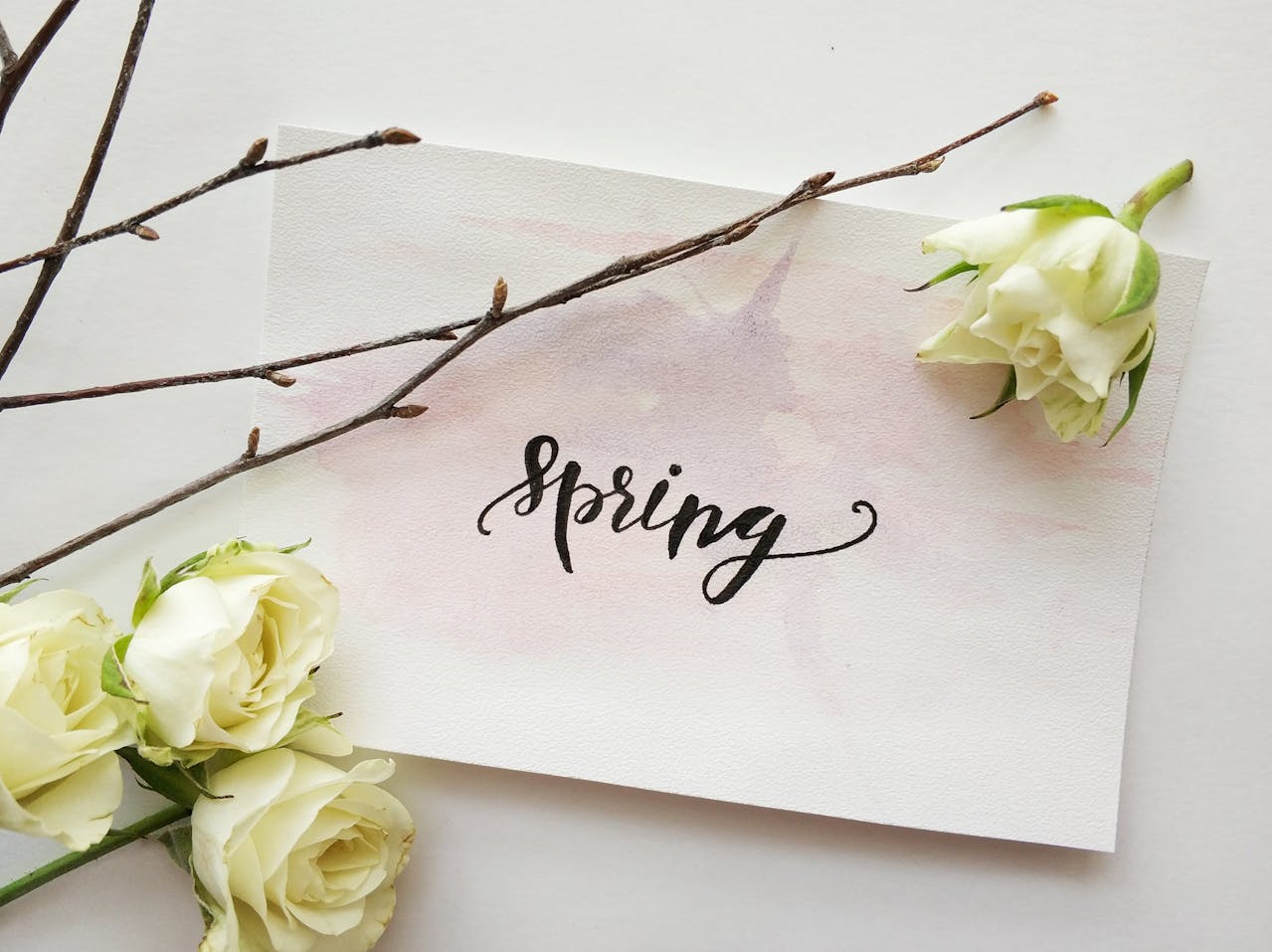 SPRING COLLECTION